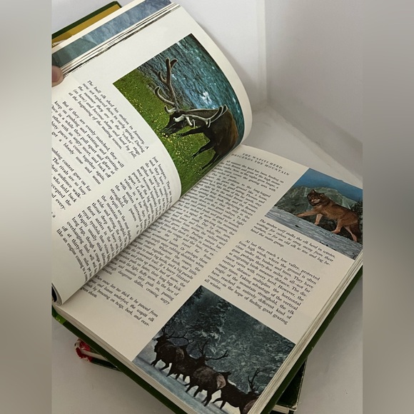 Vintage Set of 3 Walt Disney Picture Books Circa 1965 - Picture 2 of 11